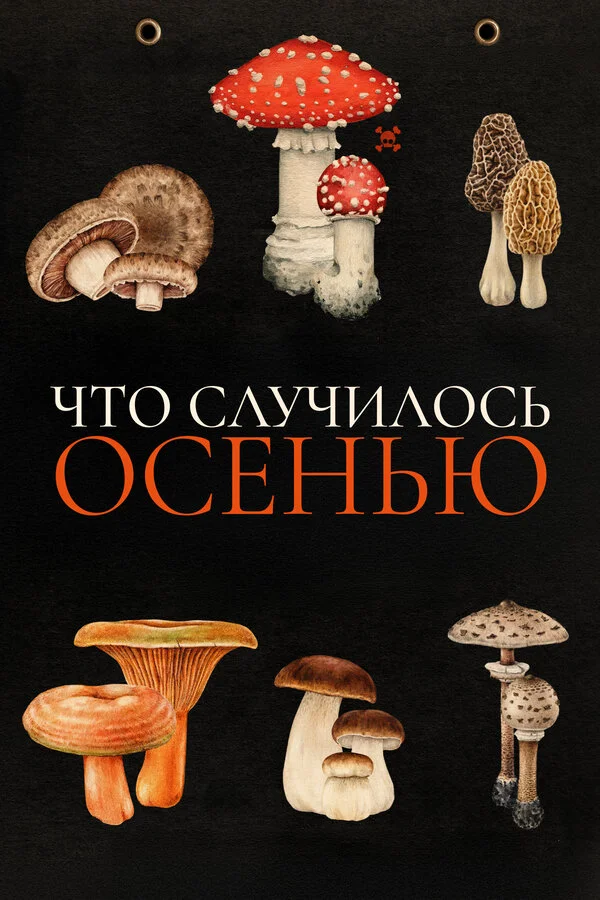 Что случилось осенью 2024 смотреть онлайн бесплатно